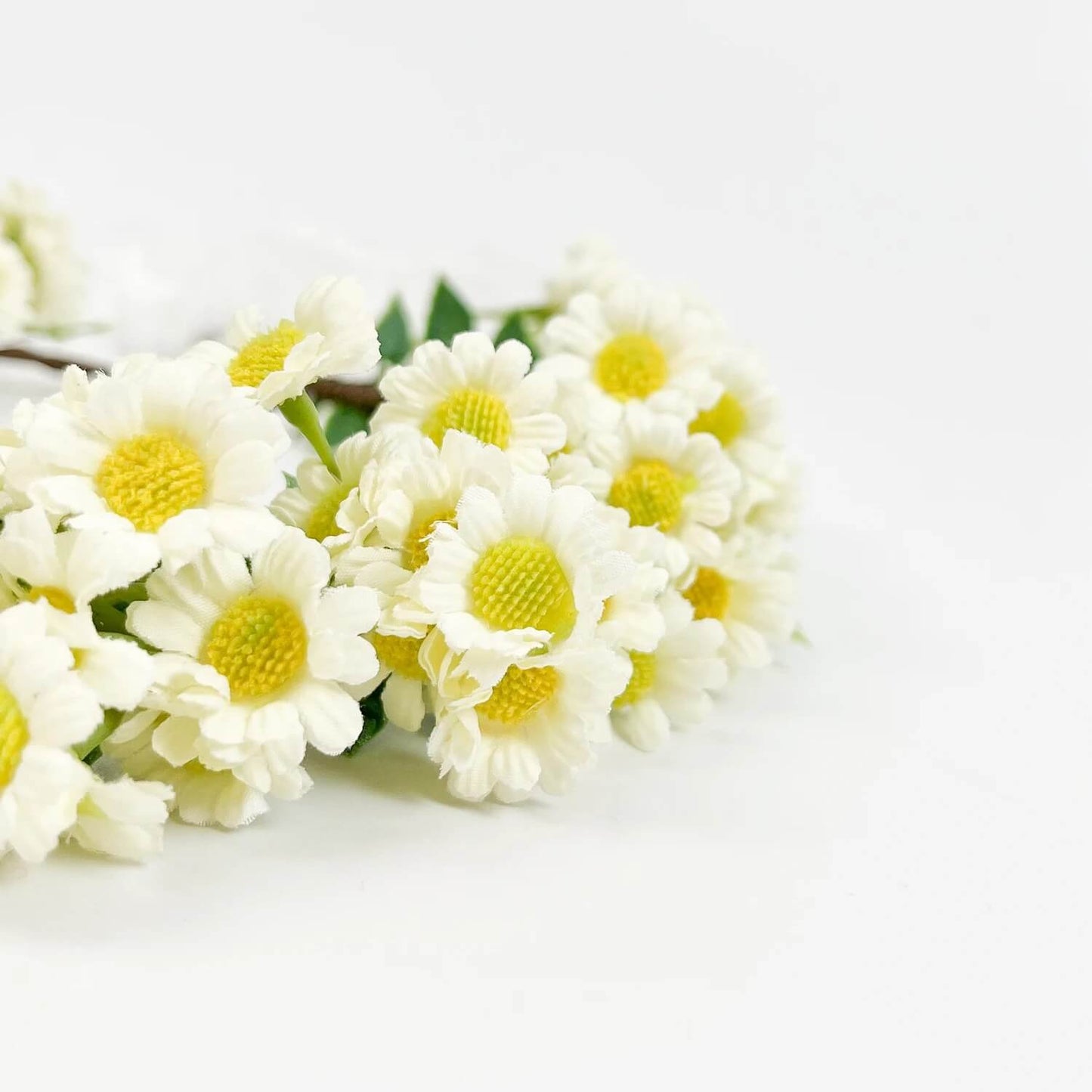 Blumenkranz Gänseblümchen